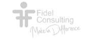 Fidel Consulting