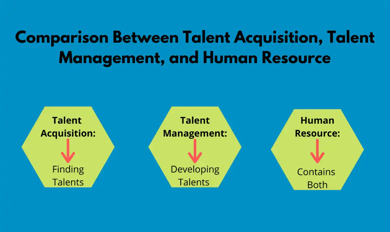 Talent Acquisition vs Talent Management vs Human Resource