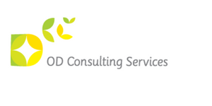  OD consulting services