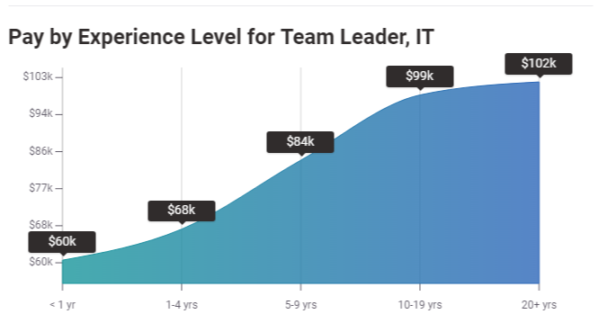 Pay by Experience Level for IT Team Leader US